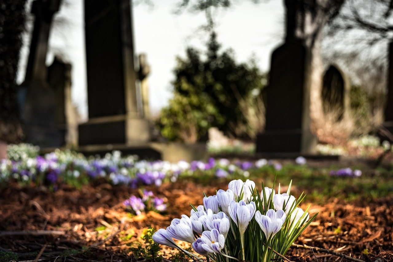 Victorian deaths related to alcohol and illicit drugs